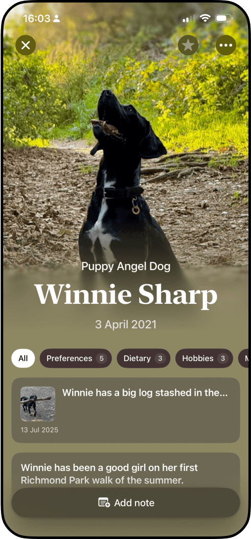 Profile screen with orange theme